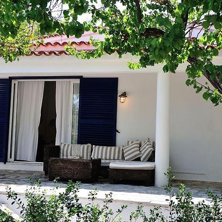 Villa Ftelia 斯基亚索斯镇 外观 照片
